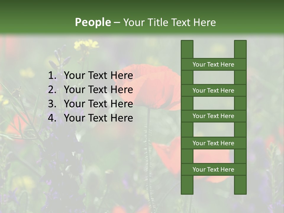 Background Grass Summer PowerPoint Template