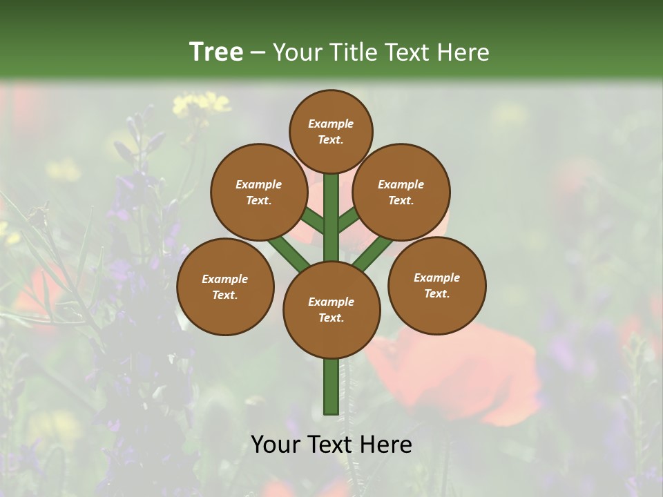 Background Grass Summer PowerPoint Template