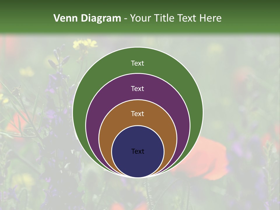 Background Grass Summer PowerPoint Template