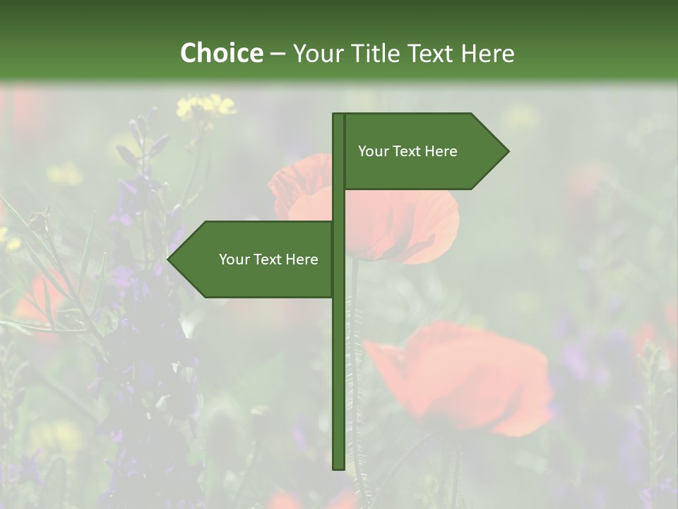 Background Grass Summer PowerPoint Template