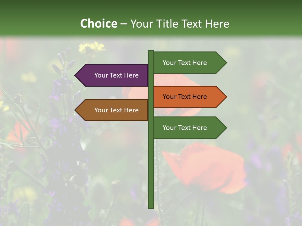 Background Grass Summer PowerPoint Template