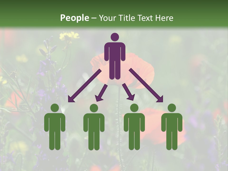 Background Grass Summer PowerPoint Template