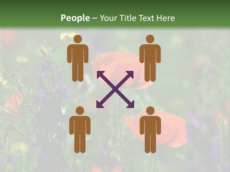 Background Grass Summer PowerPoint Template