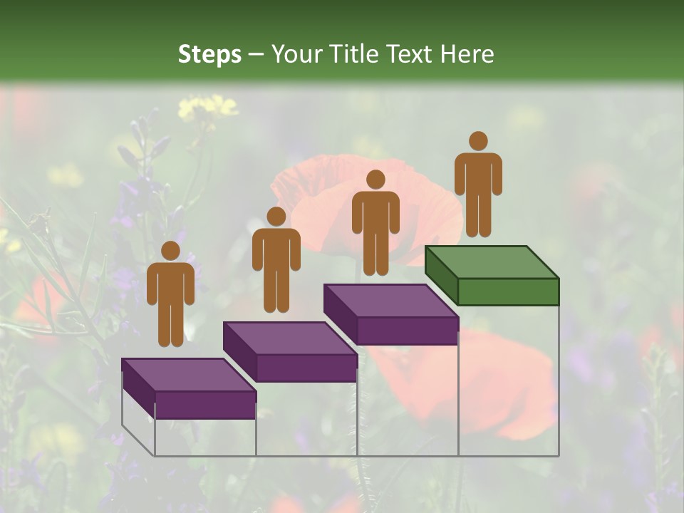 Background Grass Summer PowerPoint Template