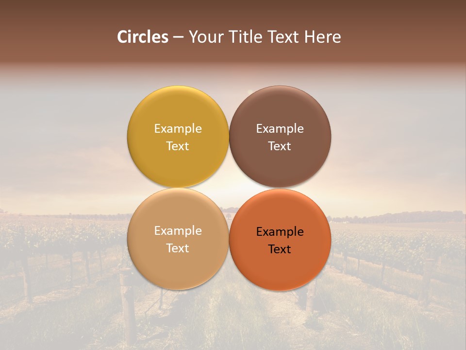 Vineyard PowerPoint Template