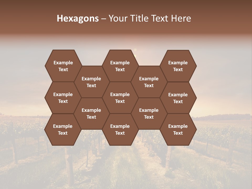 Vineyard PowerPoint Template