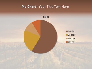 Vineyard PowerPoint Template