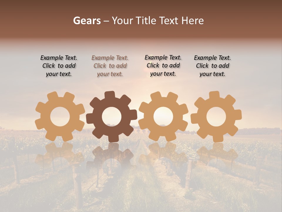 Vineyard PowerPoint Template