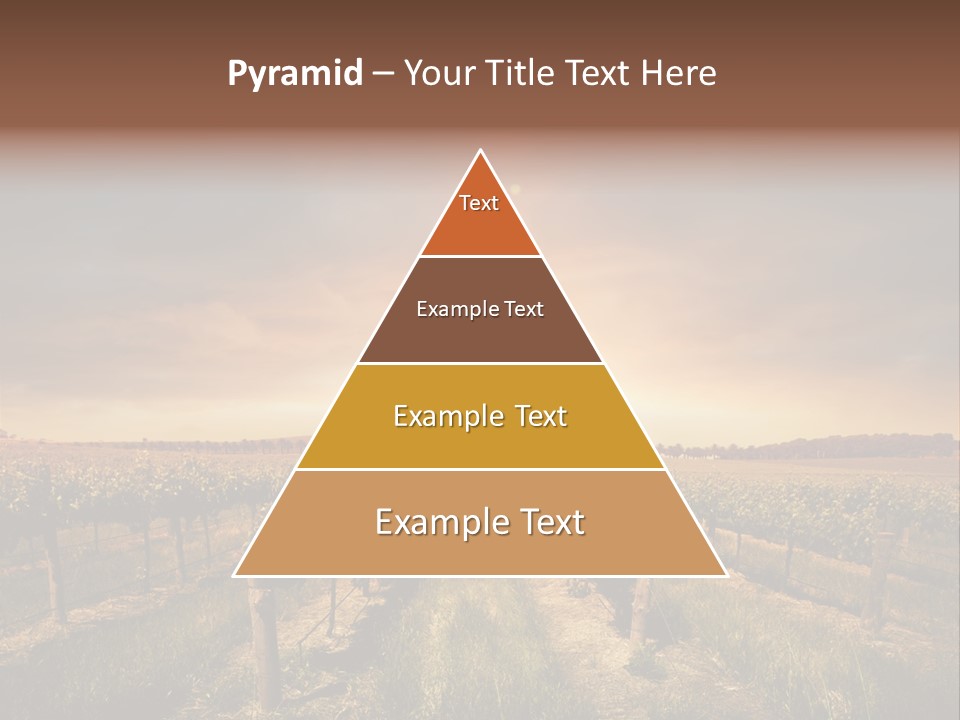 Vineyard PowerPoint Template