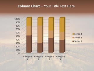 Vineyard PowerPoint Template