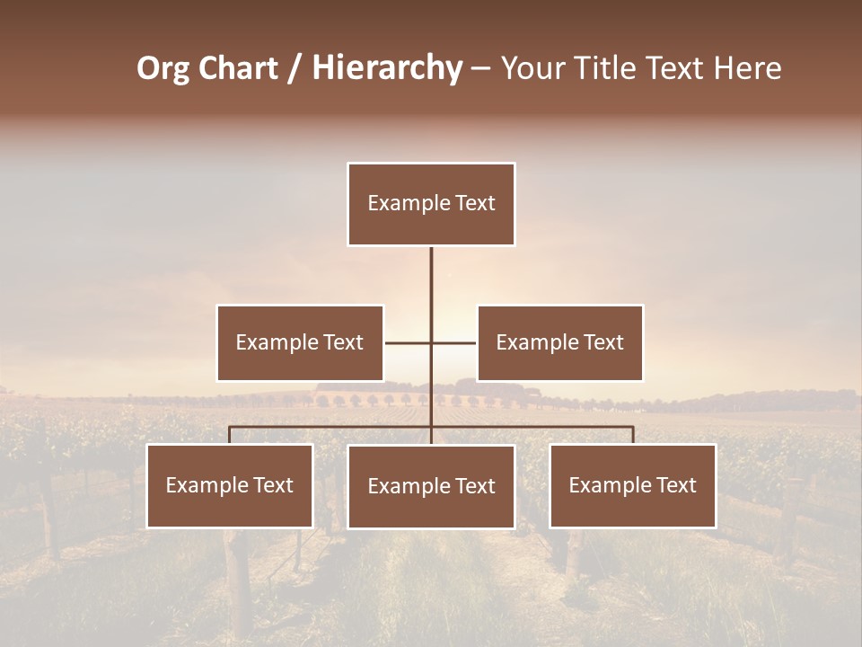 Vineyard PowerPoint Template