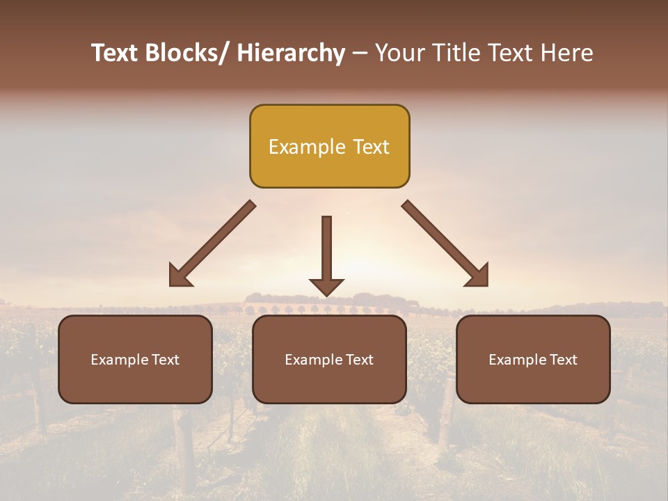 Vineyard PowerPoint Template