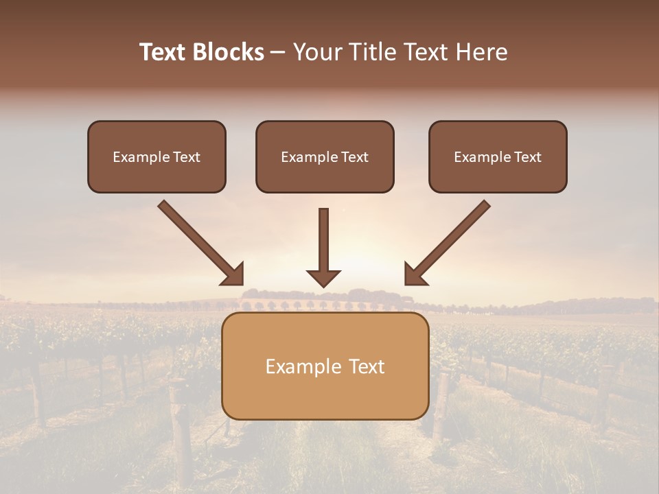 Vineyard PowerPoint Template