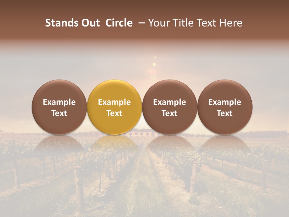 Vineyard PowerPoint Template