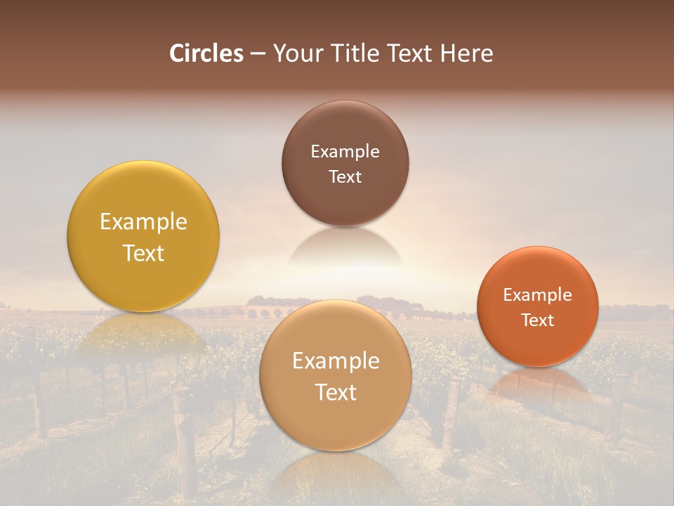 Vineyard PowerPoint Template