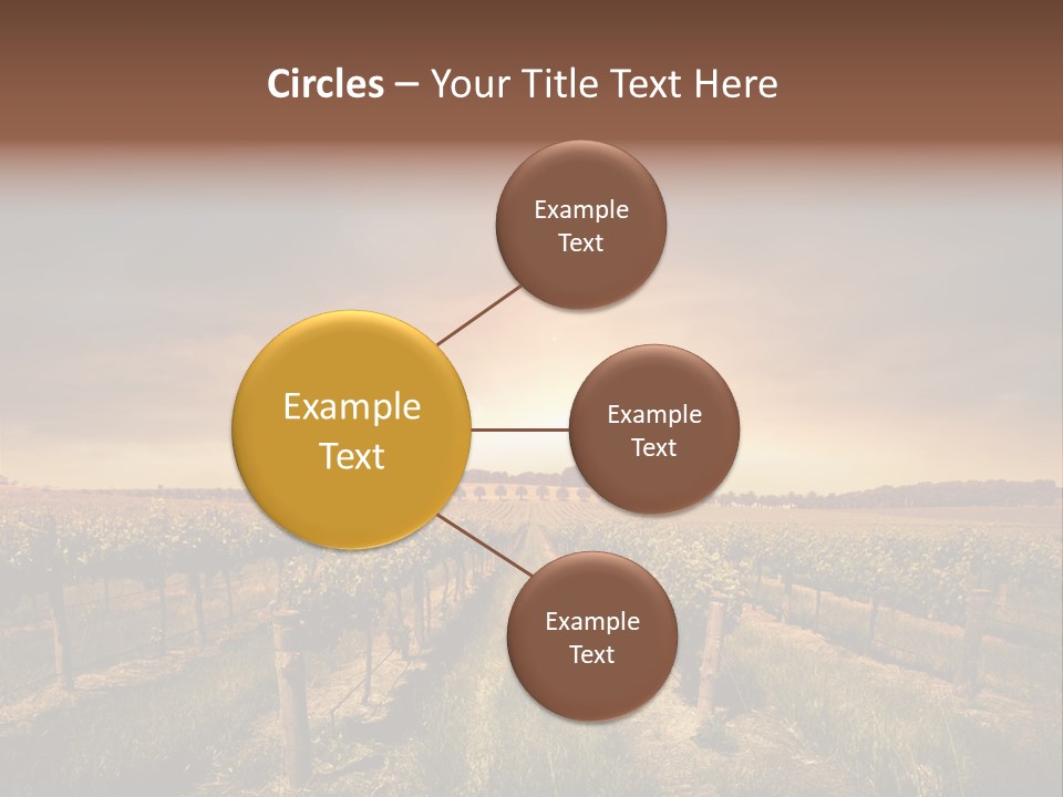 Vineyard PowerPoint Template