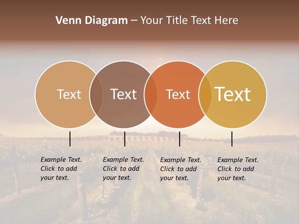 Vineyard PowerPoint Template