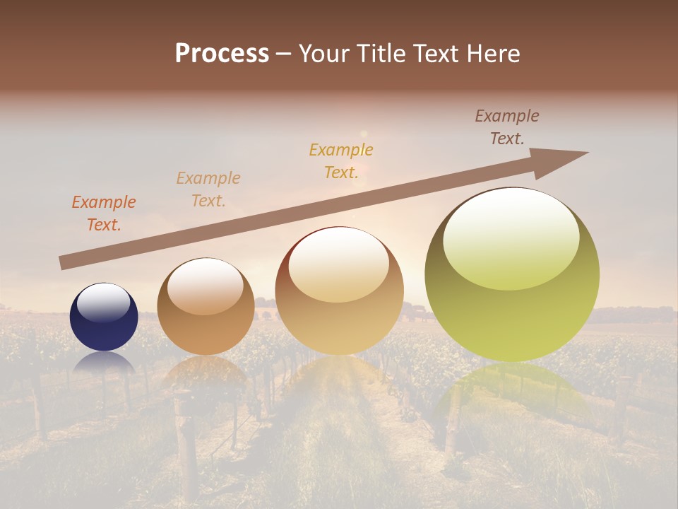 Vineyard PowerPoint Template