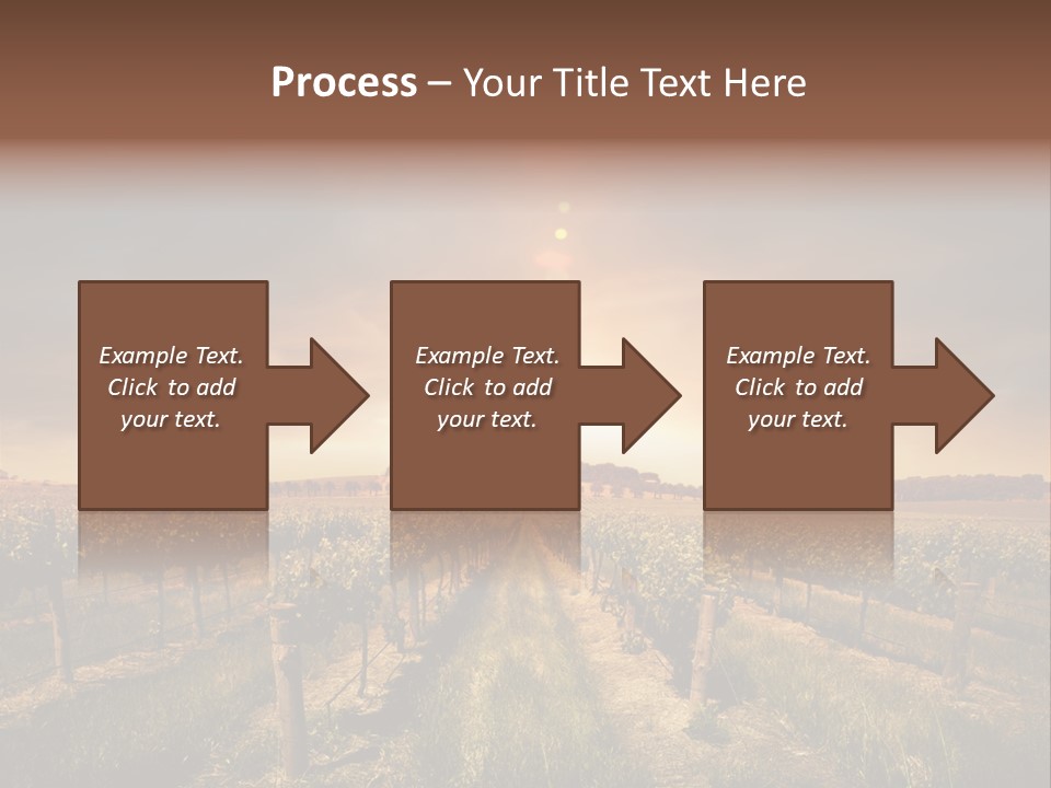 Vineyard PowerPoint Template
