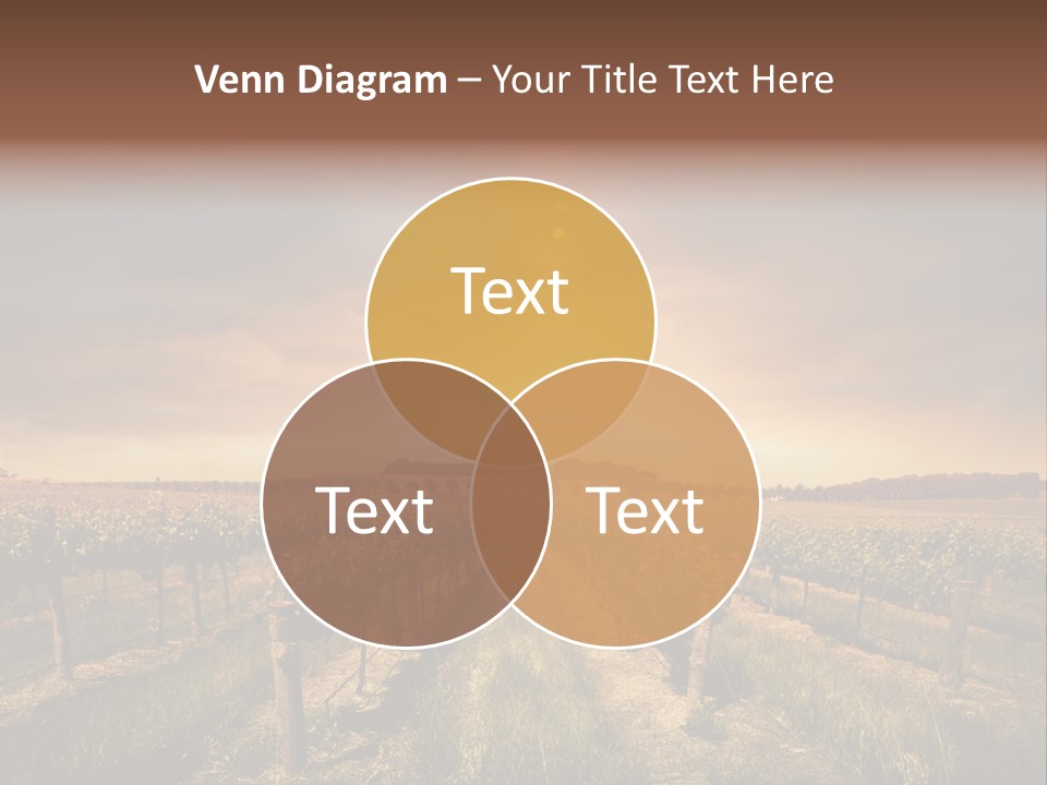 Vineyard PowerPoint Template