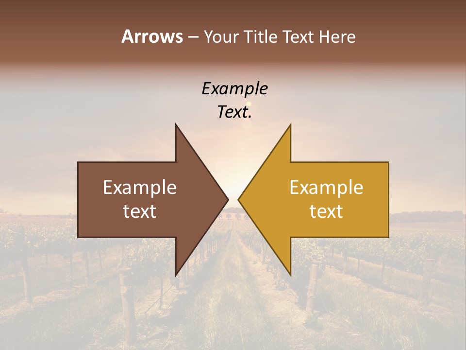 Vineyard PowerPoint Template