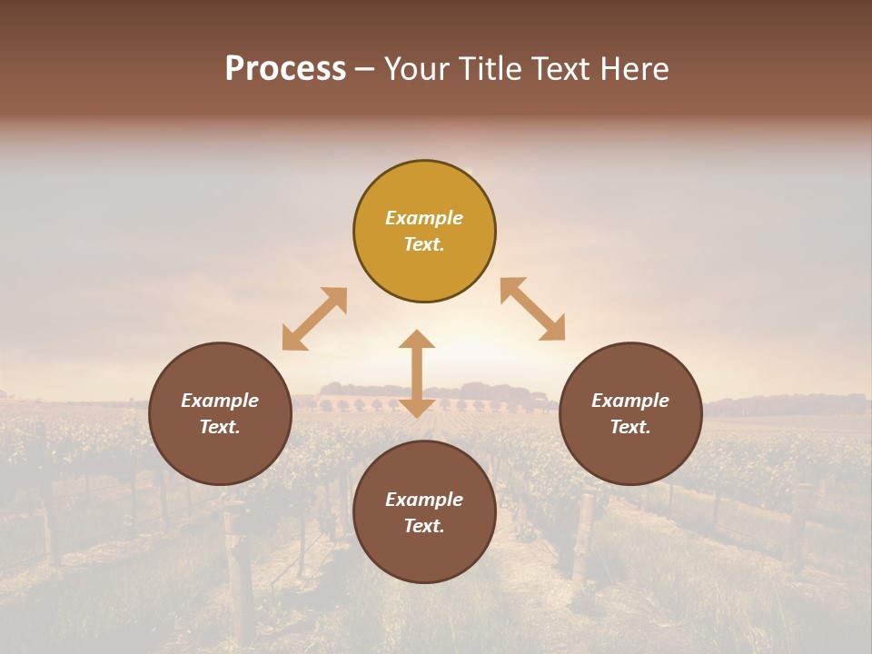 Vineyard PowerPoint Template