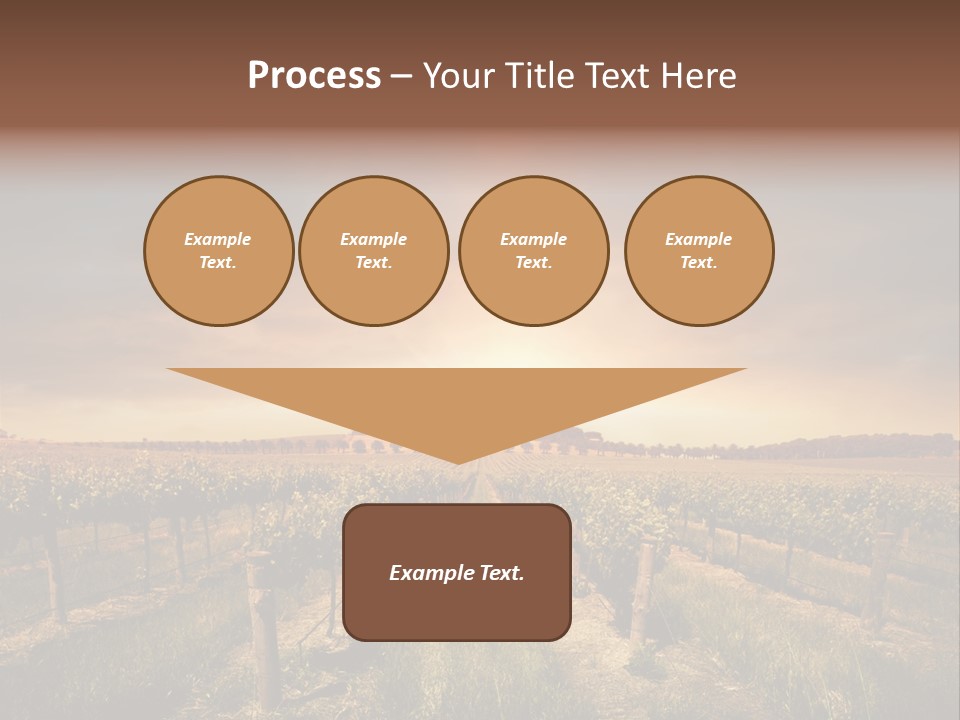 Vineyard PowerPoint Template