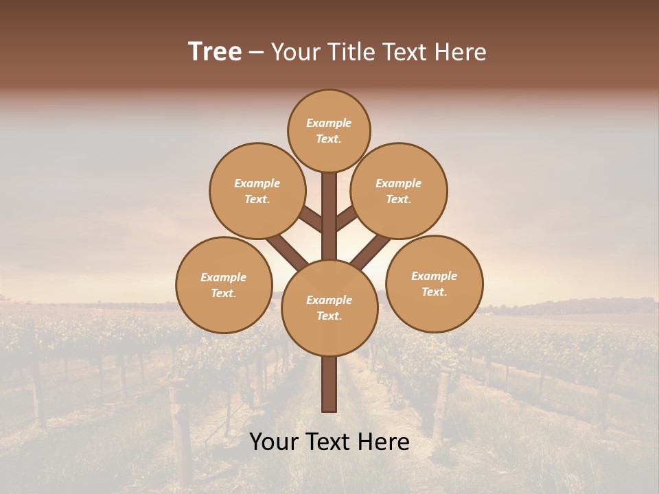 Vineyard PowerPoint Template