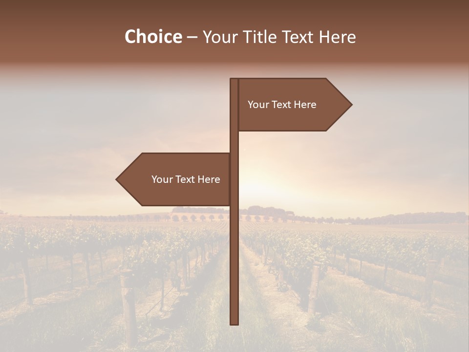 Vineyard PowerPoint Template