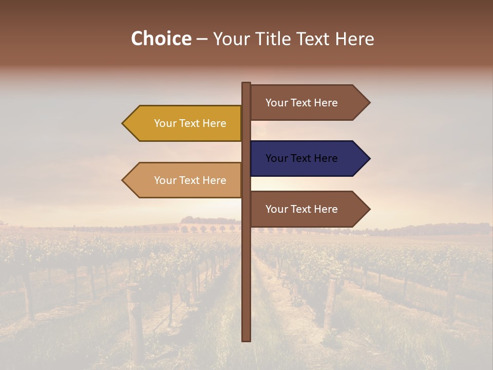 Vineyard PowerPoint Template