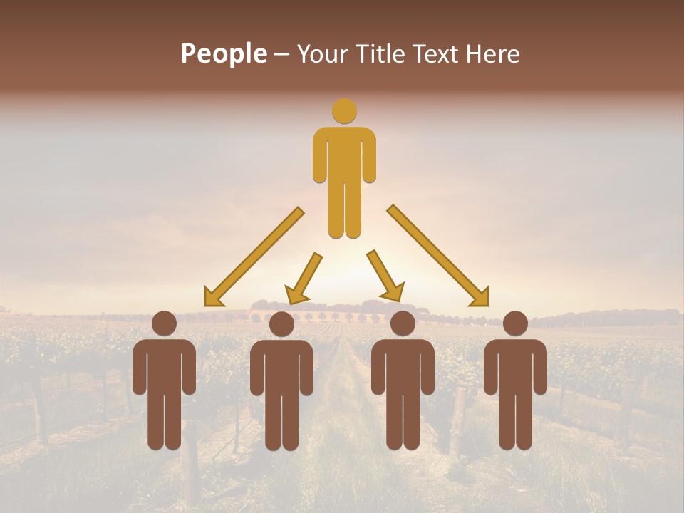 Vineyard PowerPoint Template