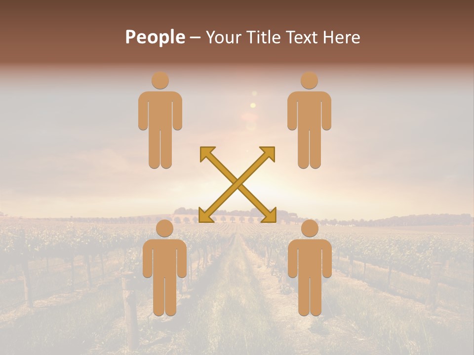 Vineyard PowerPoint Template