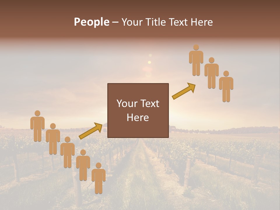 Vineyard PowerPoint Template