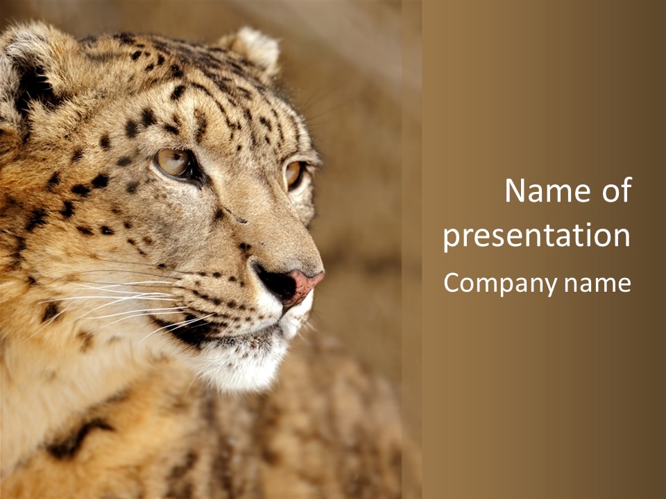 Onca Became Predator PowerPoint Template