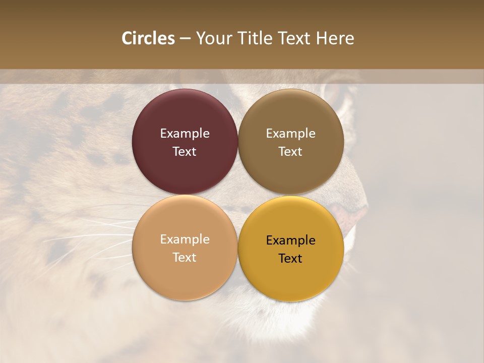 Onca Became Predator PowerPoint Template