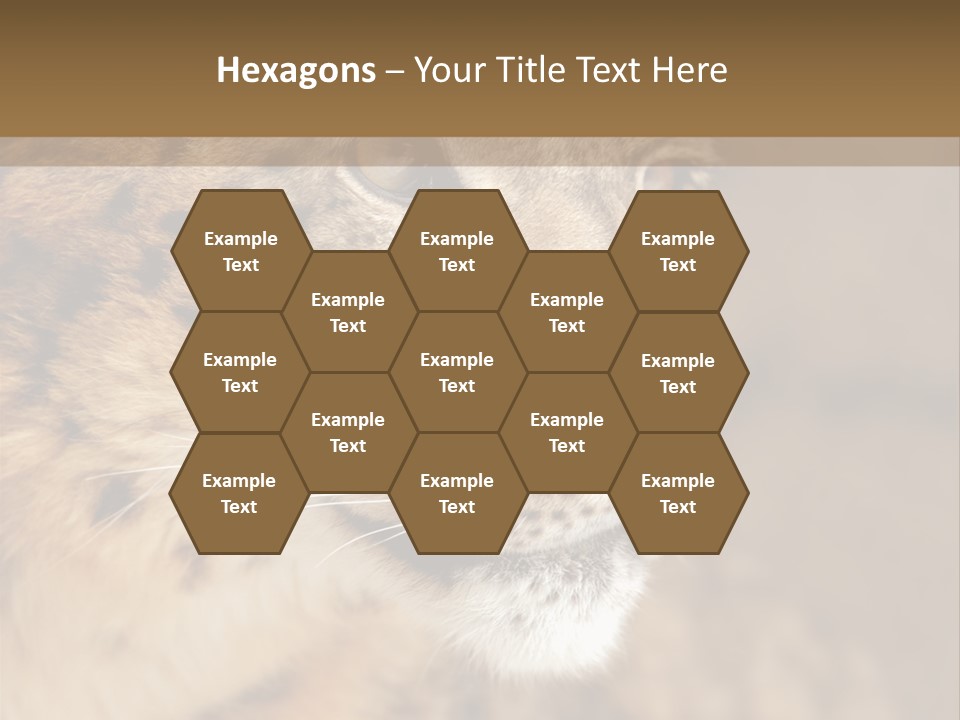 Onca Became Predator PowerPoint Template