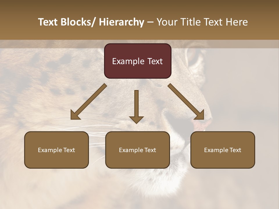 Onca Became Predator PowerPoint Template