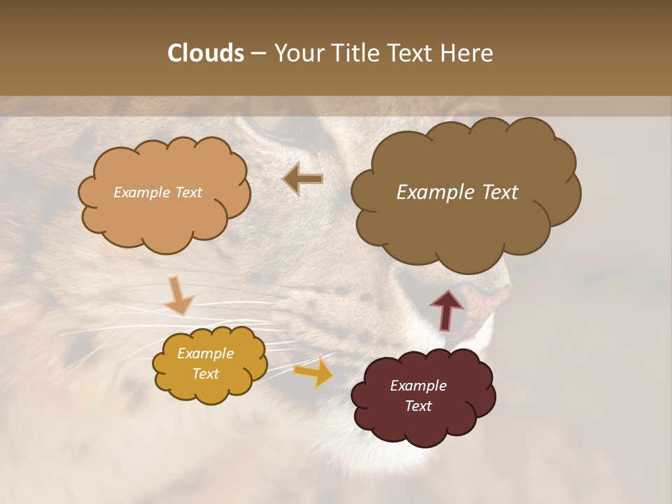 Onca Became Predator PowerPoint Template