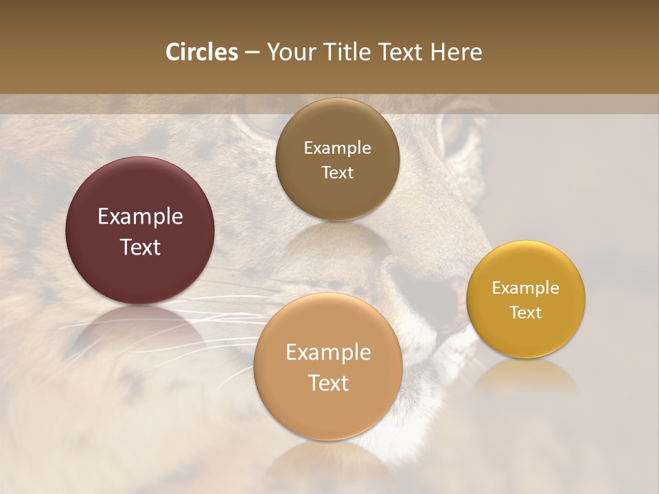 Onca Became Predator PowerPoint Template