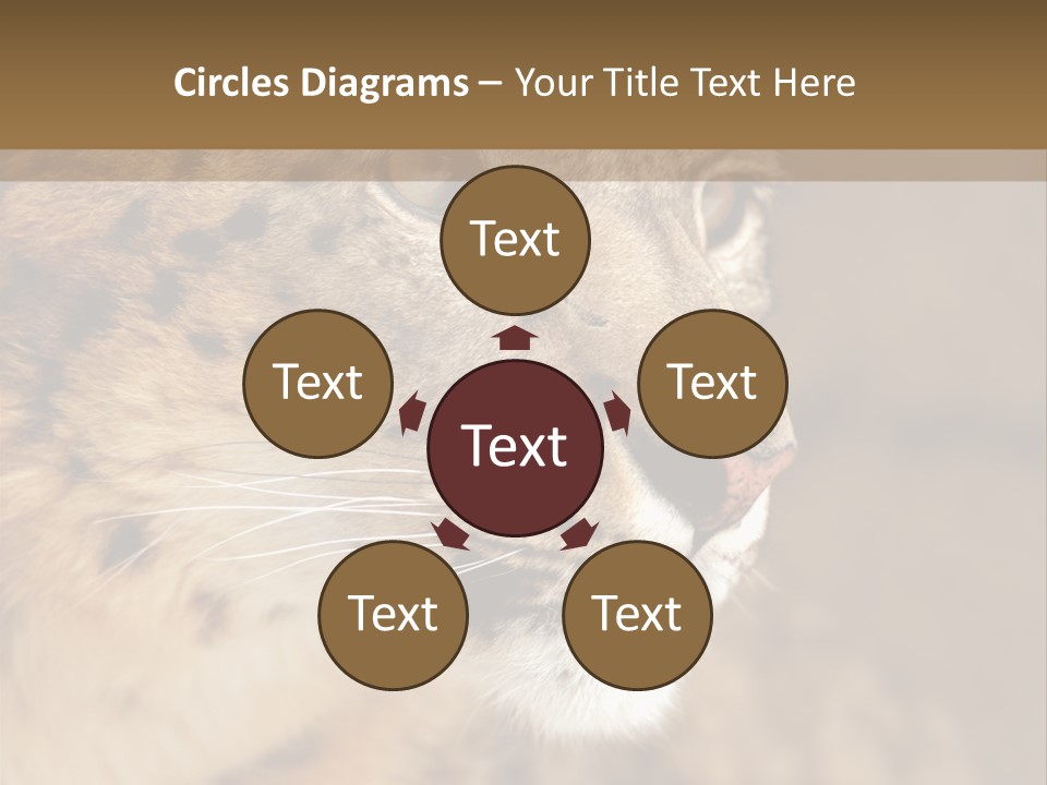 Onca Became Predator PowerPoint Template
