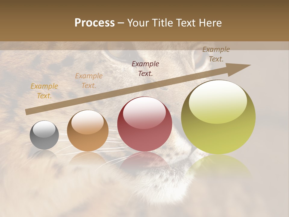 Onca Became Predator PowerPoint Template