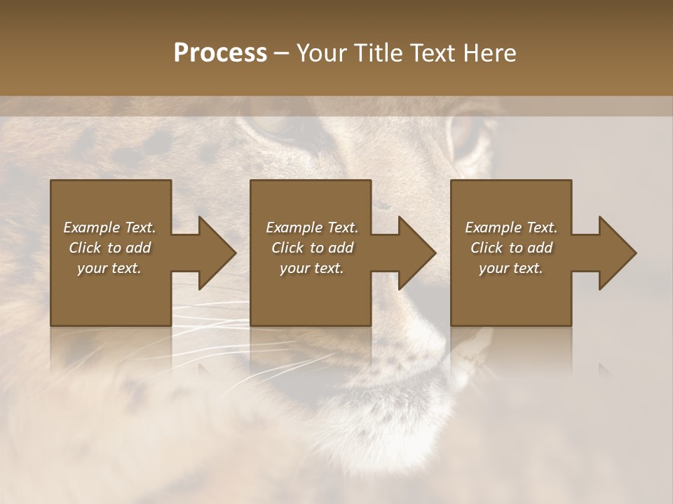 Onca Became Predator PowerPoint Template
