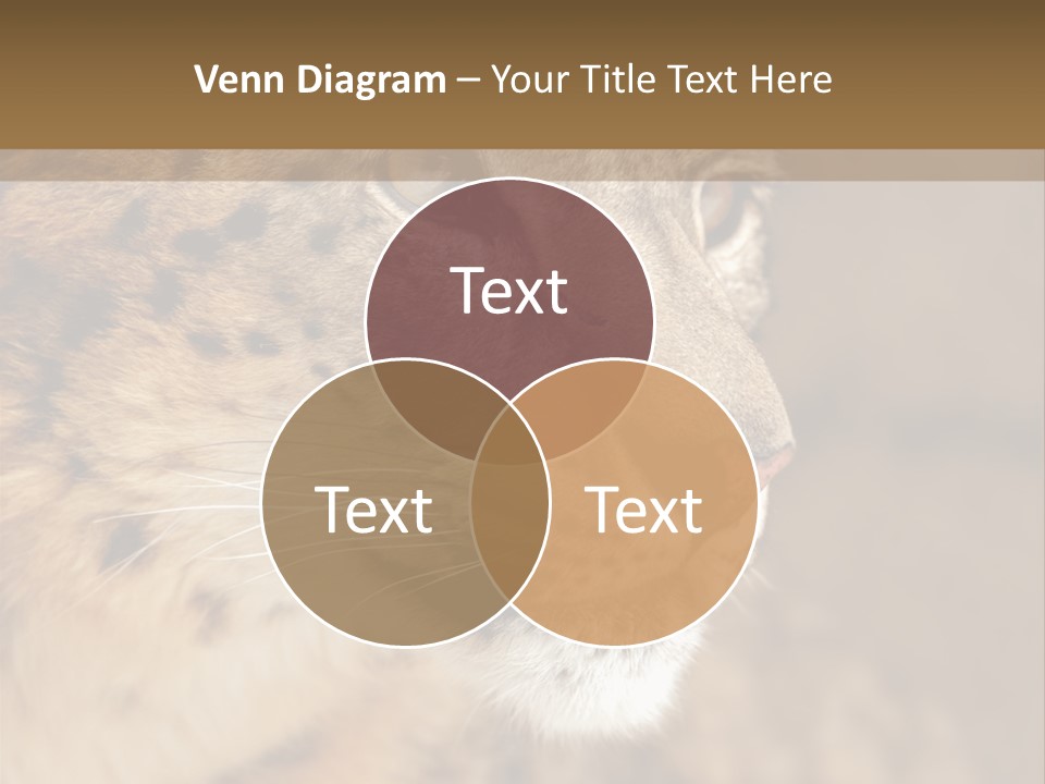 Onca Became Predator PowerPoint Template