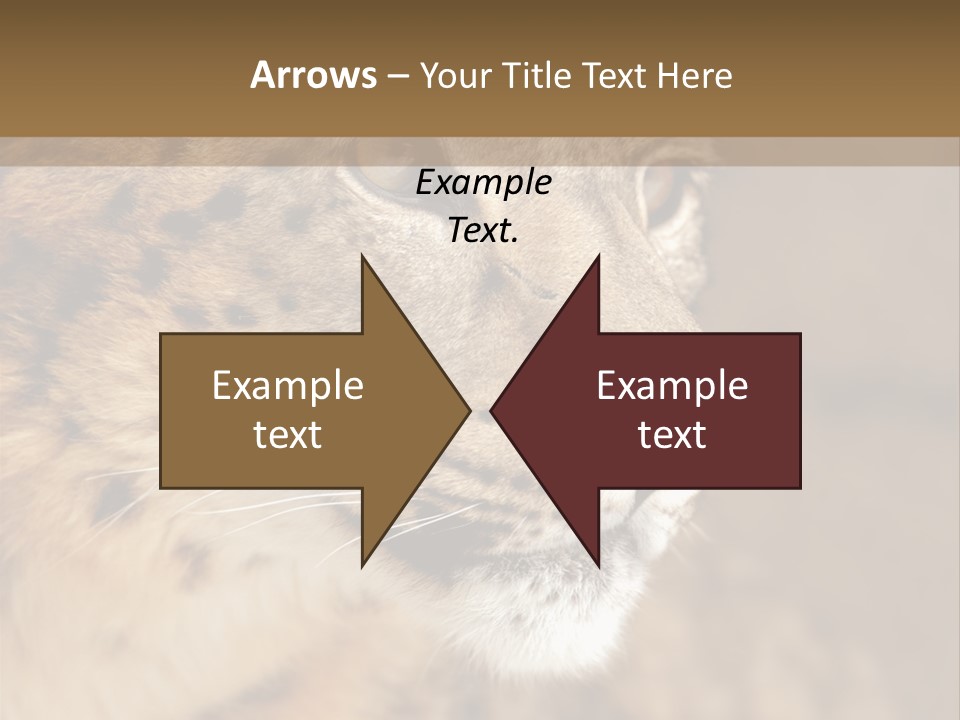 Onca Became Predator PowerPoint Template