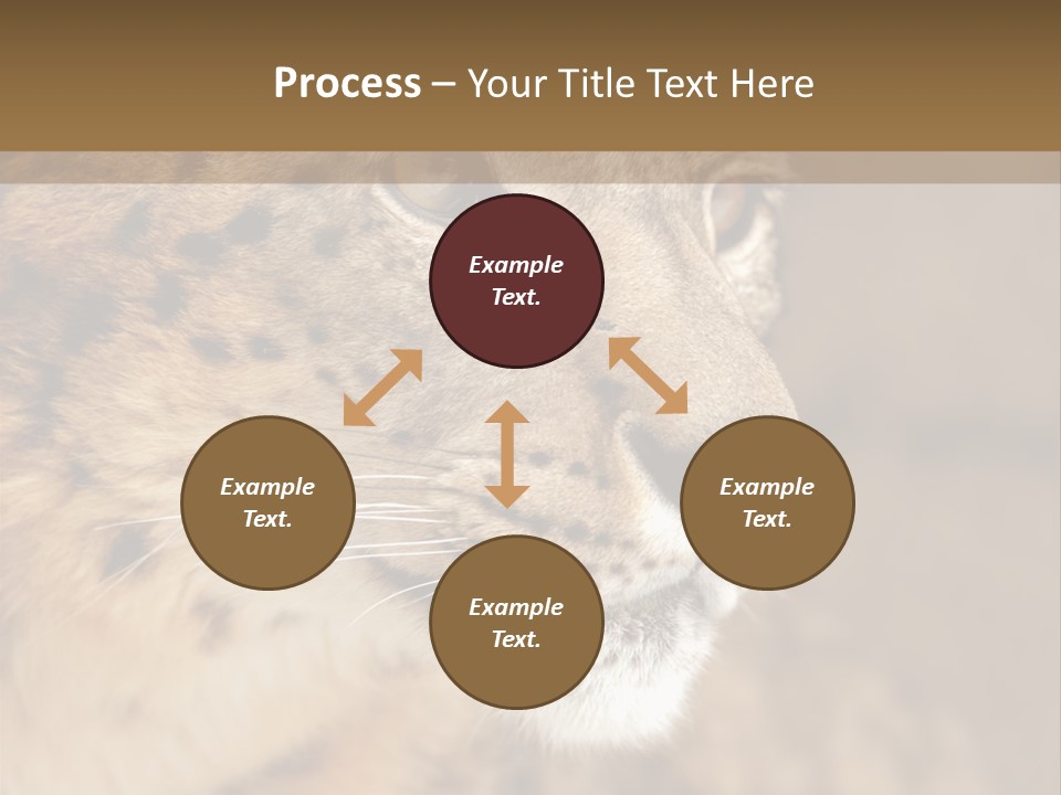 Onca Became Predator PowerPoint Template