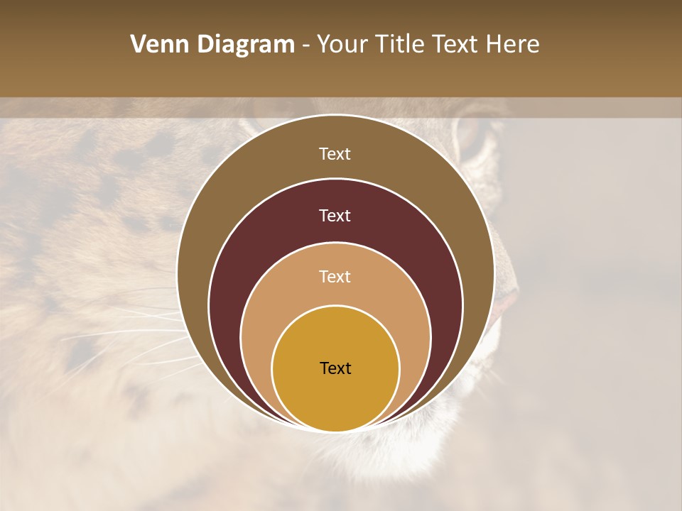 Onca Became Predator PowerPoint Template