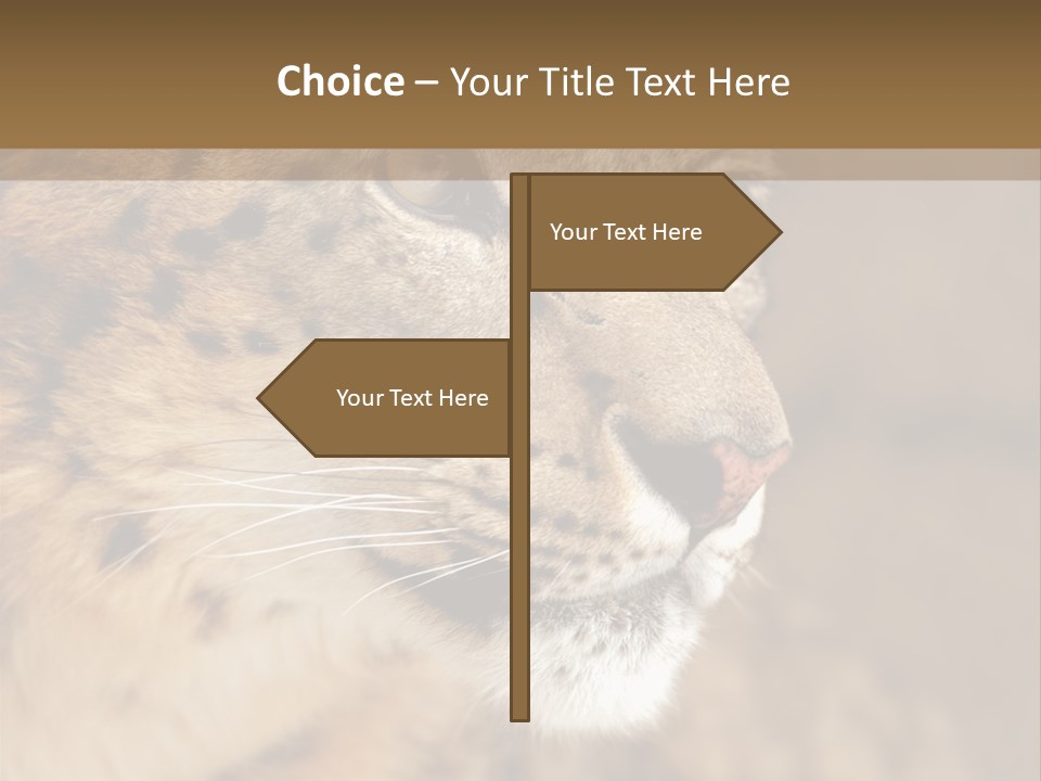 Onca Became Predator PowerPoint Template