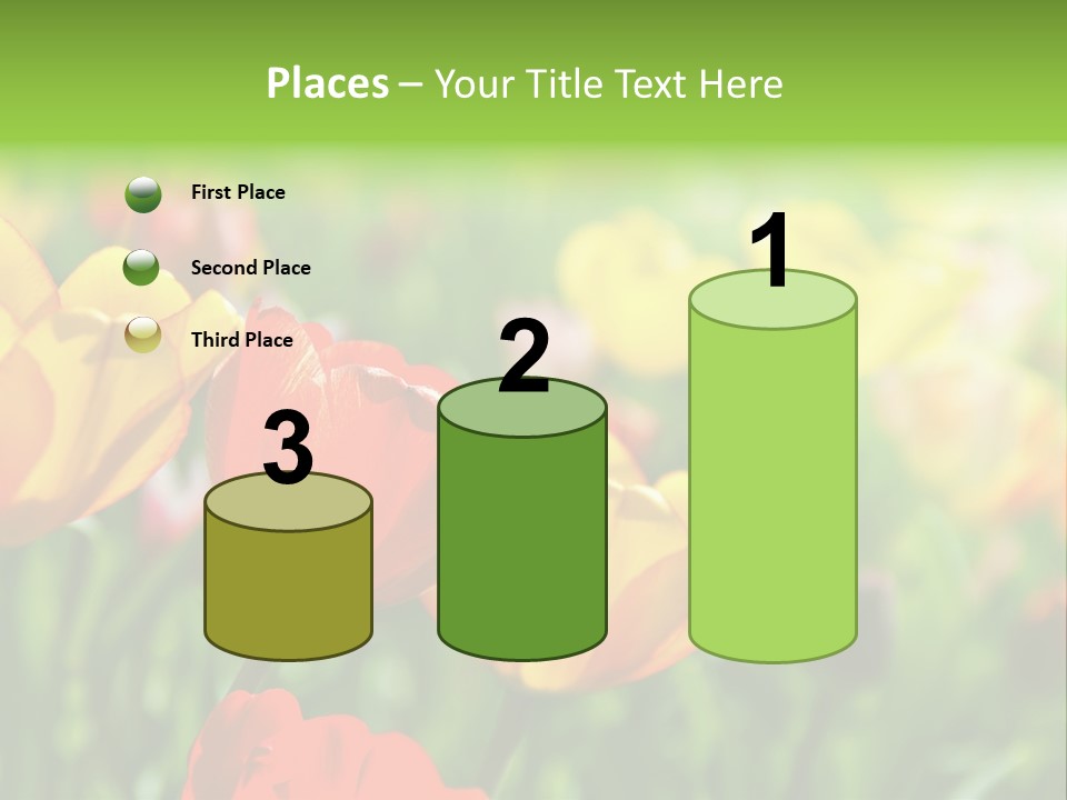 Flowers Tulips PowerPoint Template