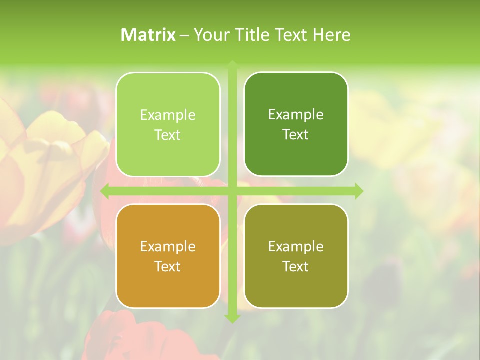 Flowers Tulips PowerPoint Template