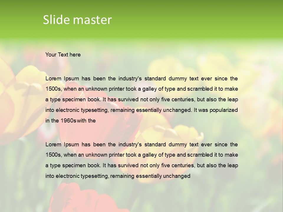 Flowers Tulips PowerPoint Template